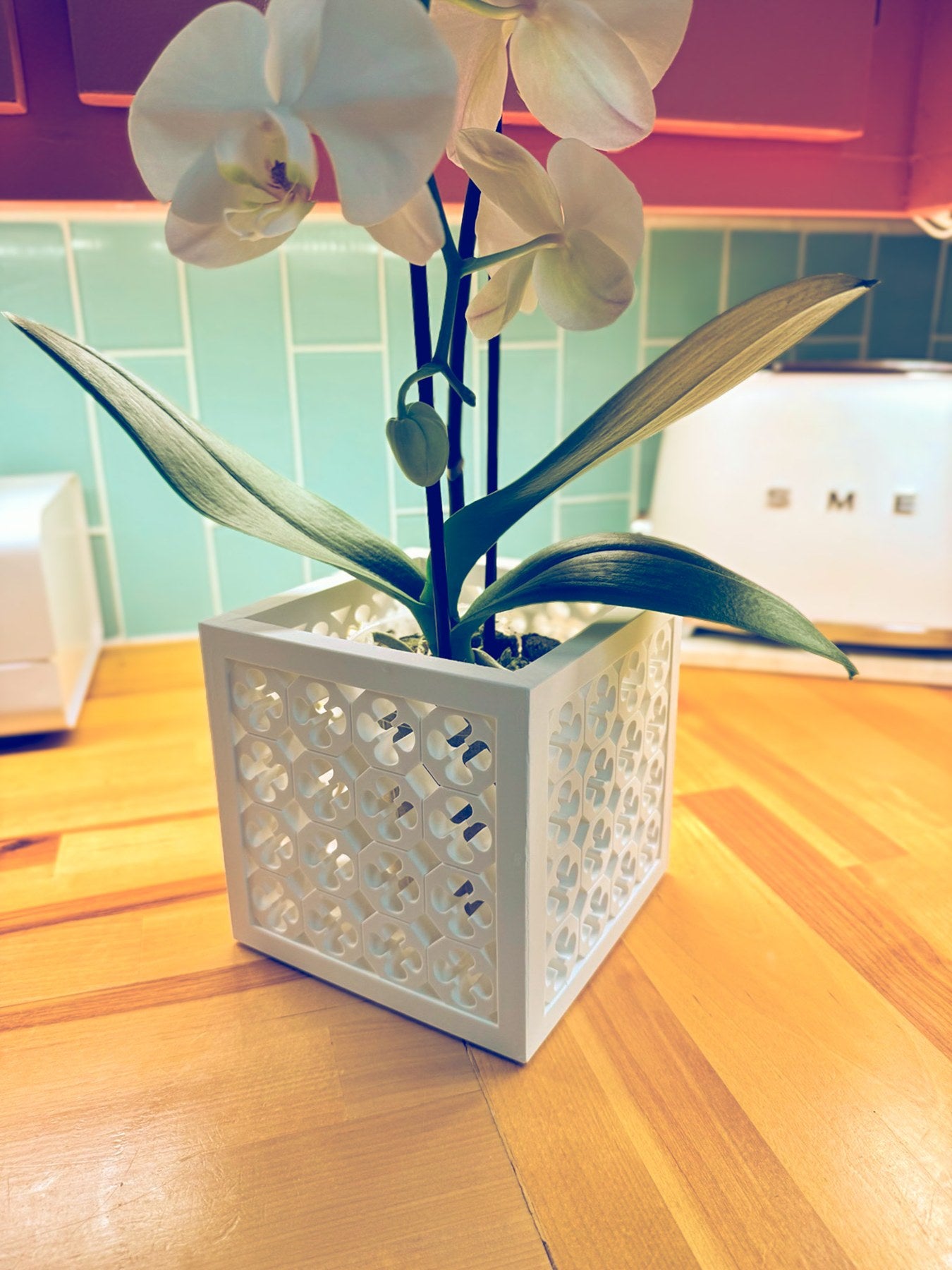 White orchid in a sculptural white breeze-block planter
